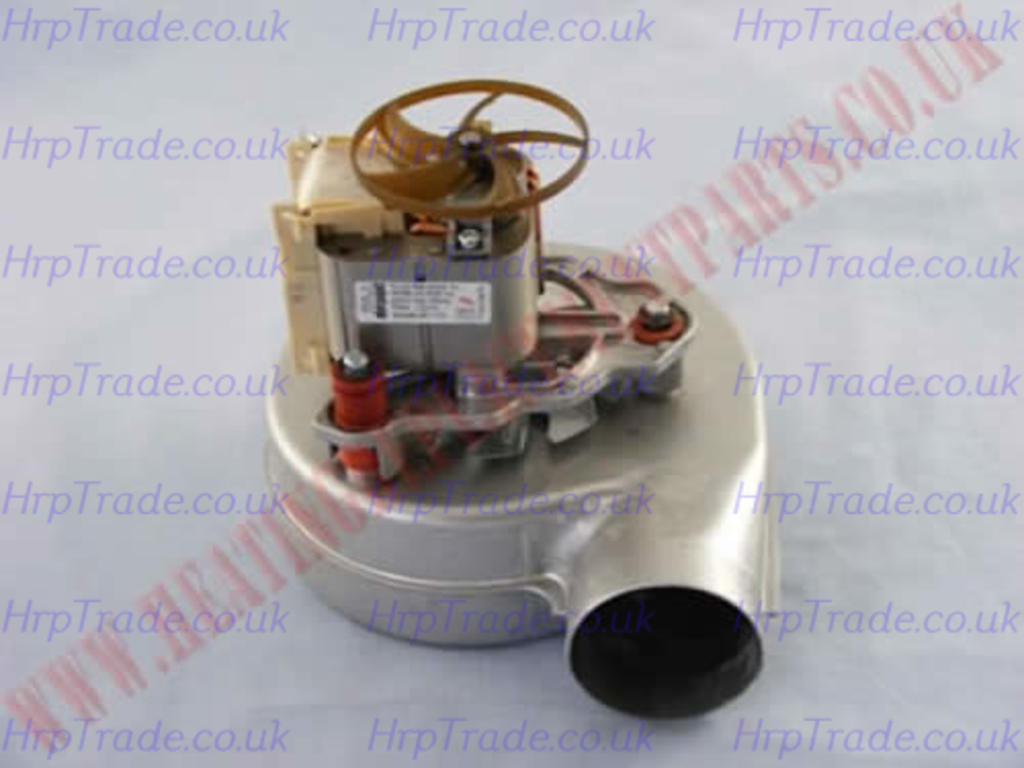 BAXI  248002