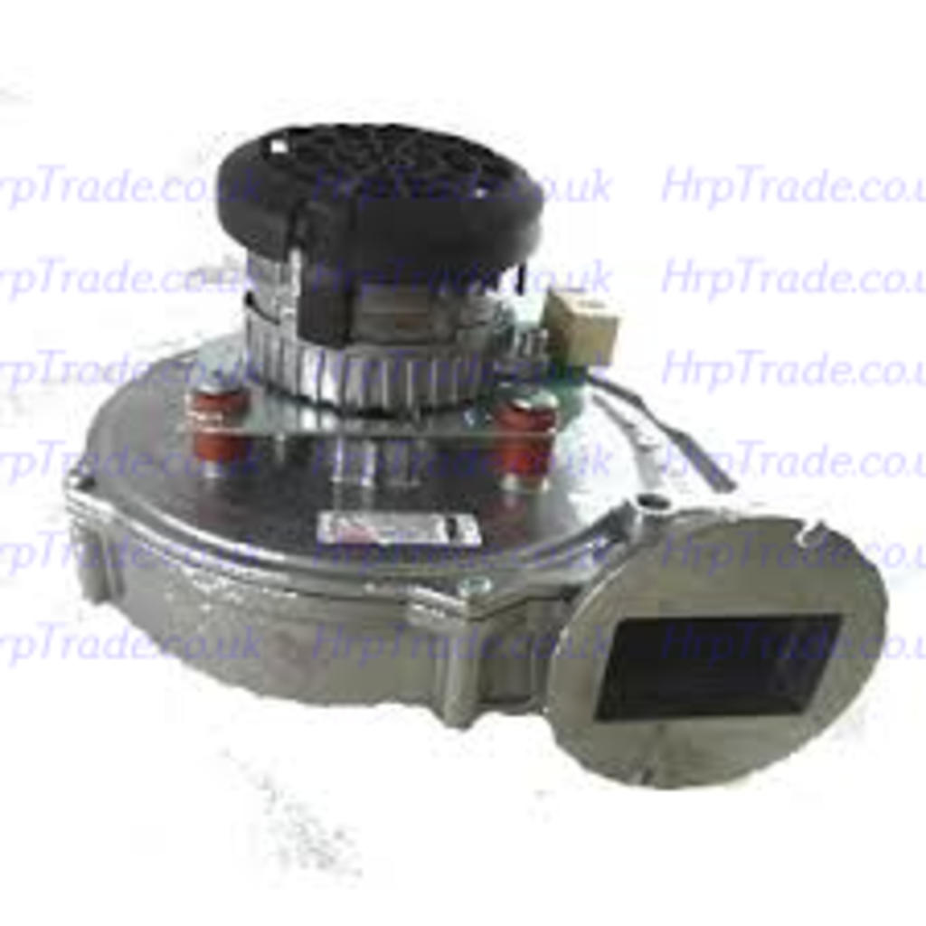 BAXI  720011701