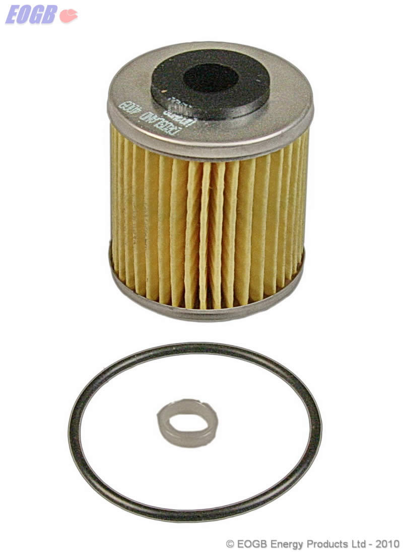EOGB  F02-4009