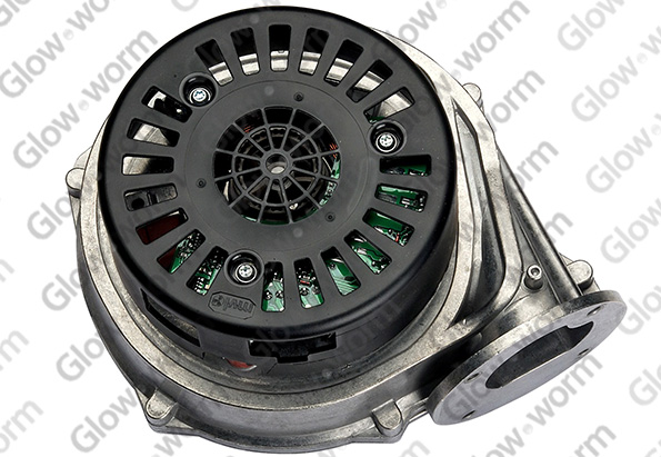 GLOWWORM  0020037309