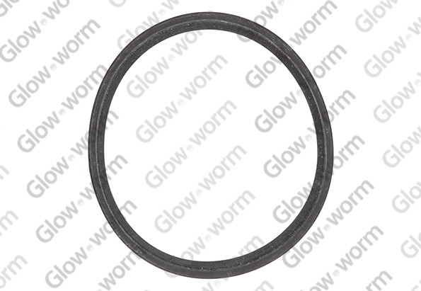 GLOWWORM  0020038076