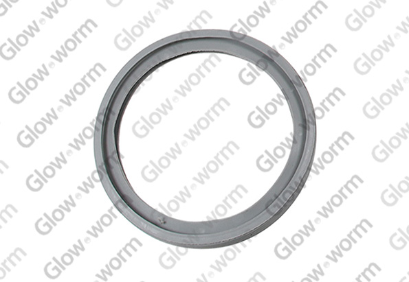 GLOWWORM  0020038381