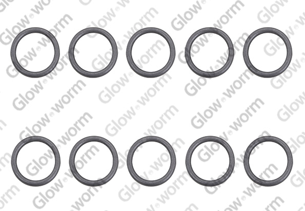 GLOWWORM  0020195536