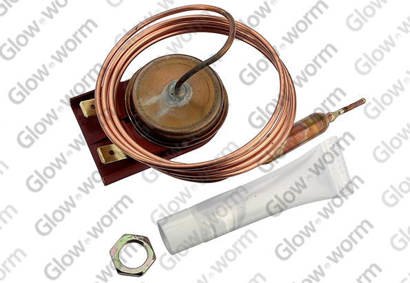 GLOWWORM  800272