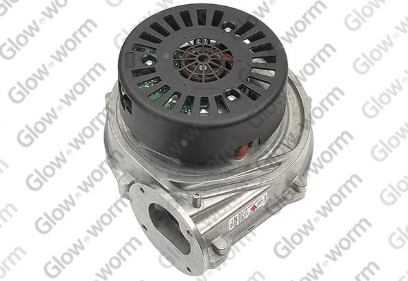GLOWWORM  801645