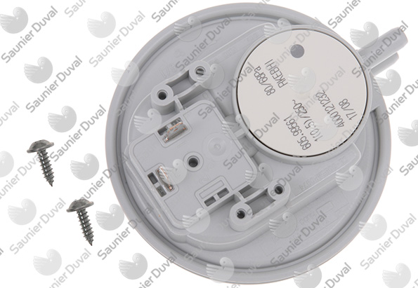GLOWWORM  S1008900