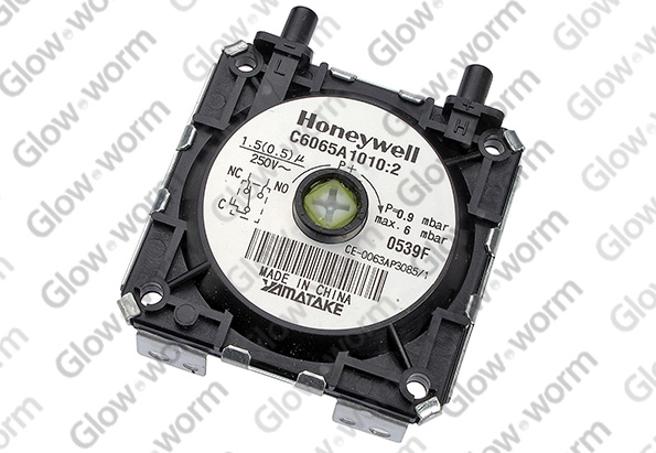 GLOWWORM  S202135