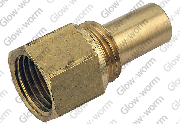 GLOWWORM  S203509