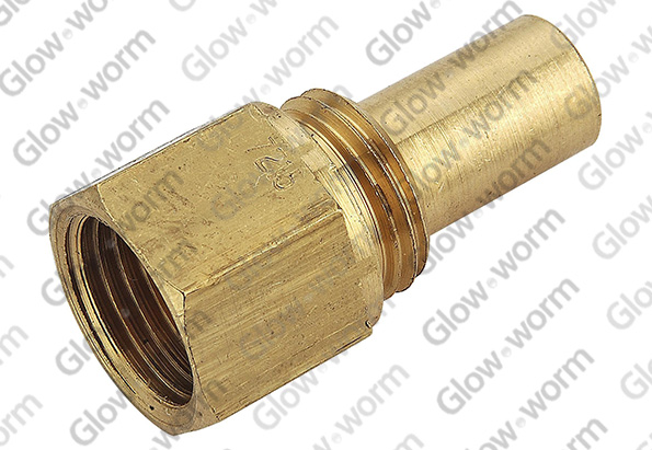 GLOWWORM  S203516