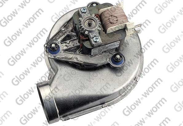 GLOWWORM  S227033