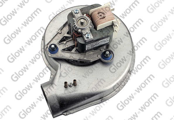 GLOWWORM  S227035