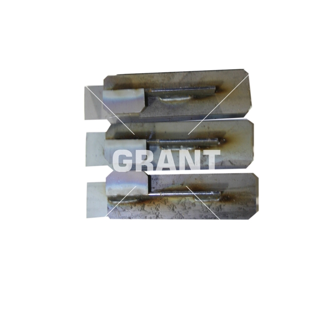 GRANT  VBS10