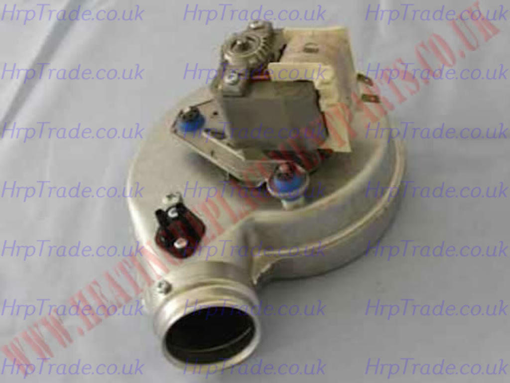 IDEAL  079889
