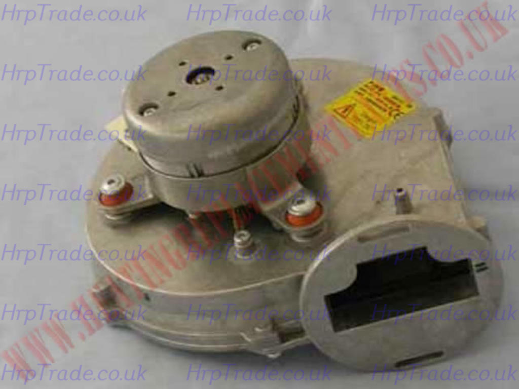 IDEAL  173525
