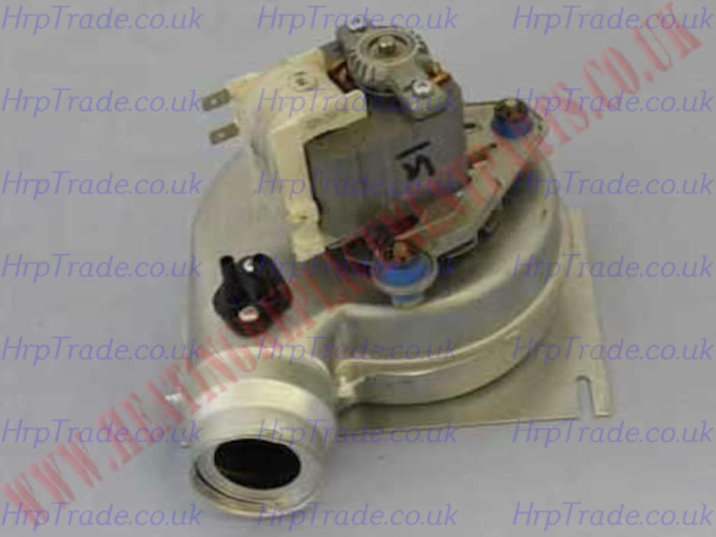 IDEAL  174067