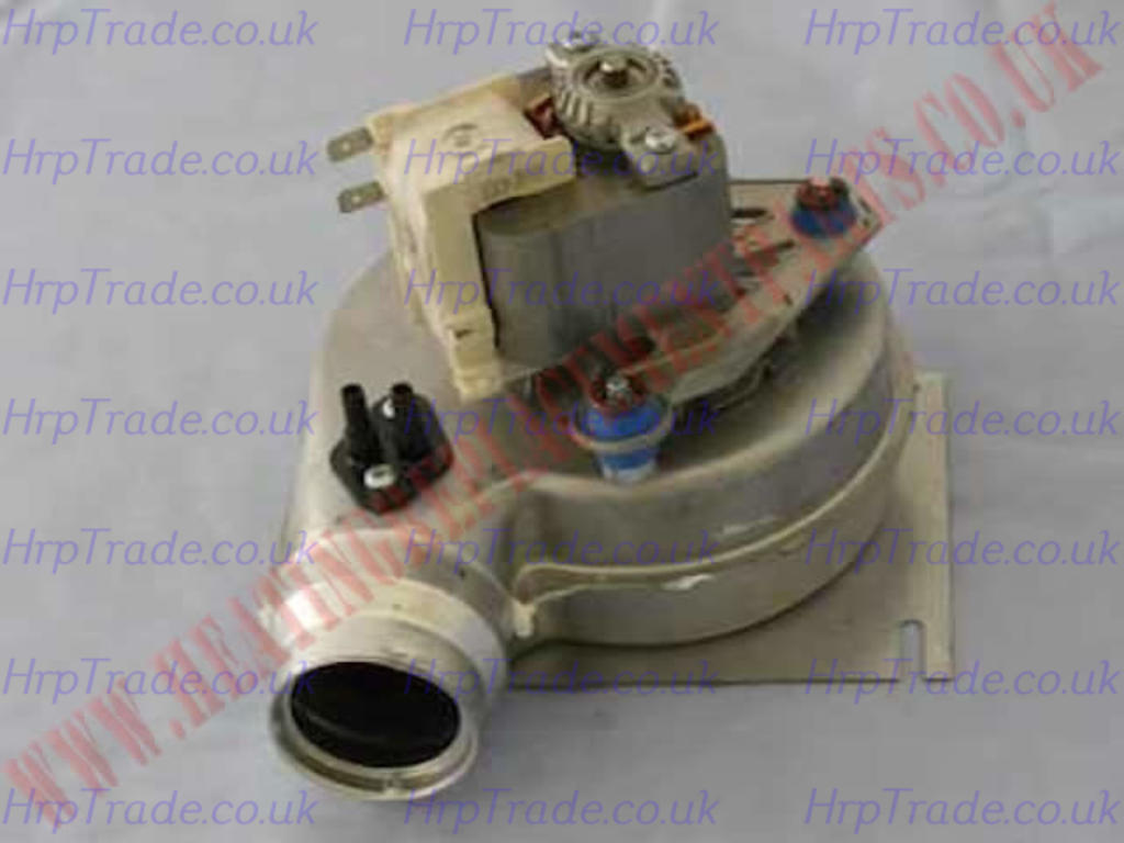 IDEAL  174068