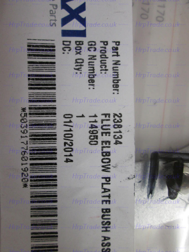 MAIN  238134