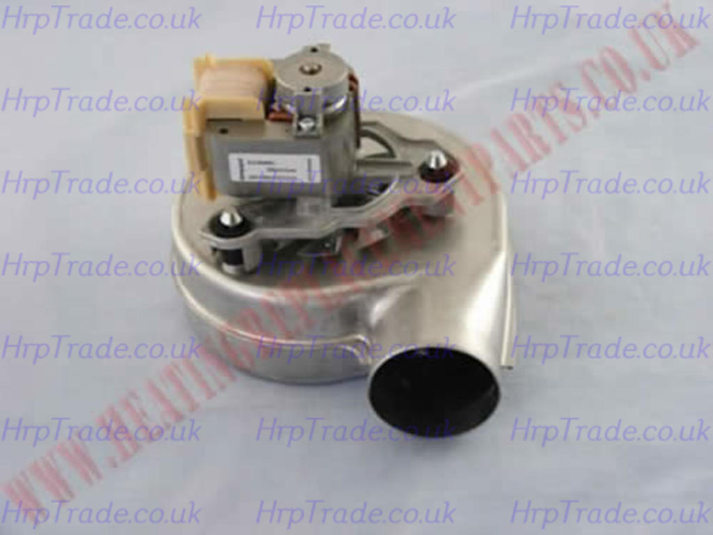 POTTERTON  248001