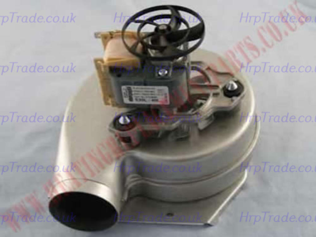 POTTERTON  5105945