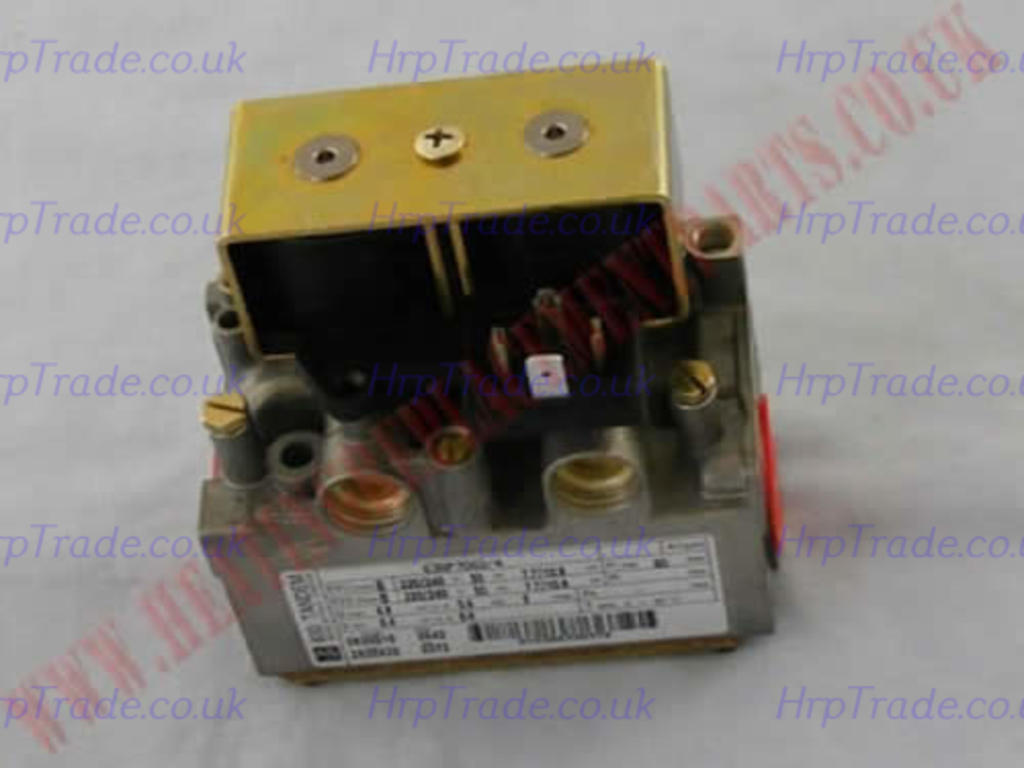 POTTERTON  909029