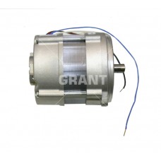 RIELLO  3007971