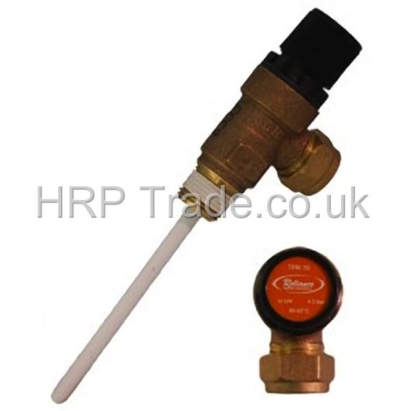 Temperature And Pressure Relief Valves