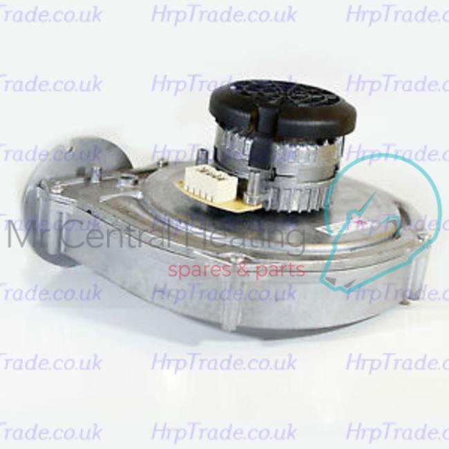 BAXI  5115501