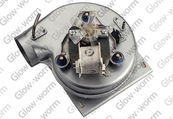 GLOWWORM  800276