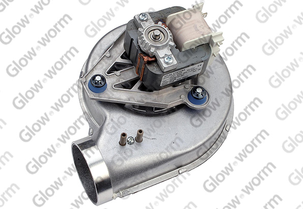 GLOWWORM  S227034