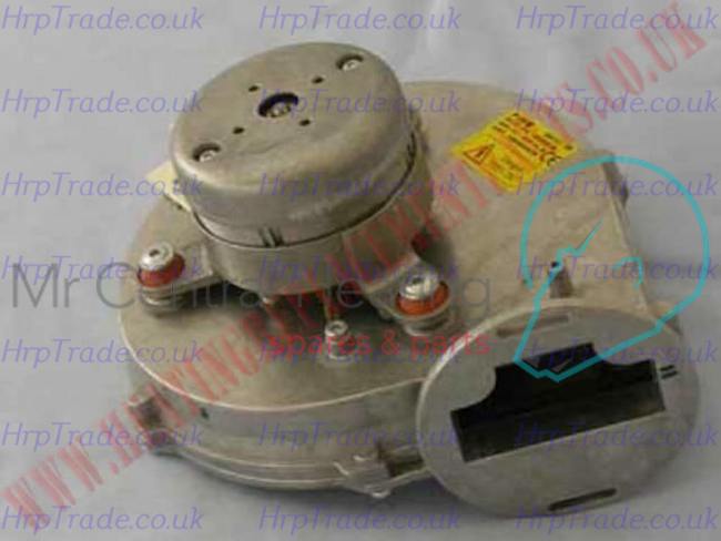 IDEAL  173525