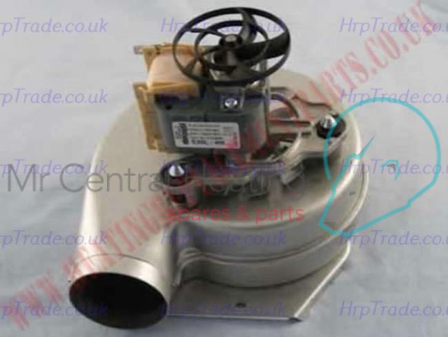 POTTERTON  5105945
