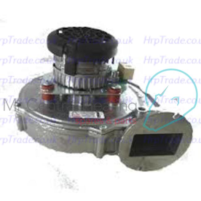 POTTERTON  720011701