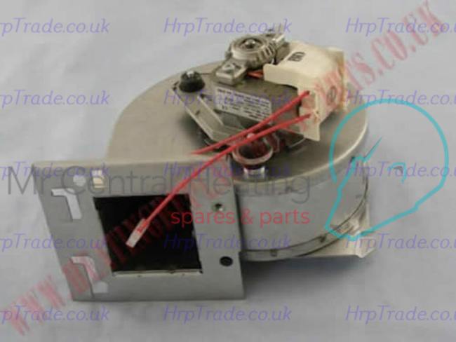 POTTERTON  909000